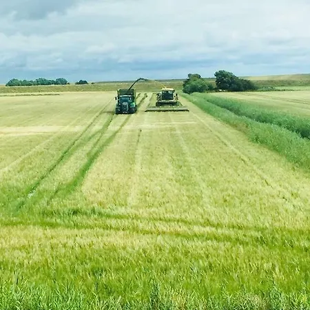 Bauernhof Steffens *