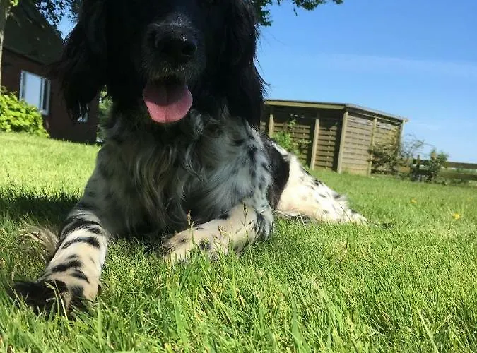 Vakantieboerderij Bauernhof Steffens Tating