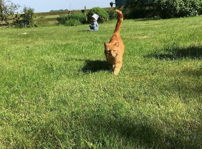 Vakantieboerderij Bauernhof Steffens *