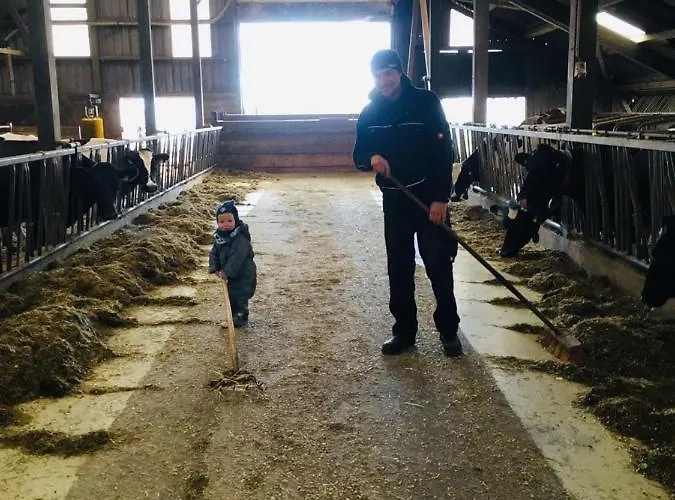 Bauernhof Steffens * Tating