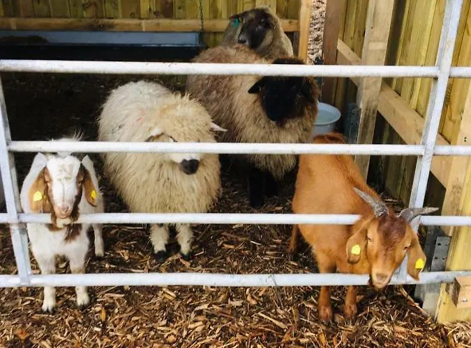 Bauernhof Steffens Vakantieboerderij Tating